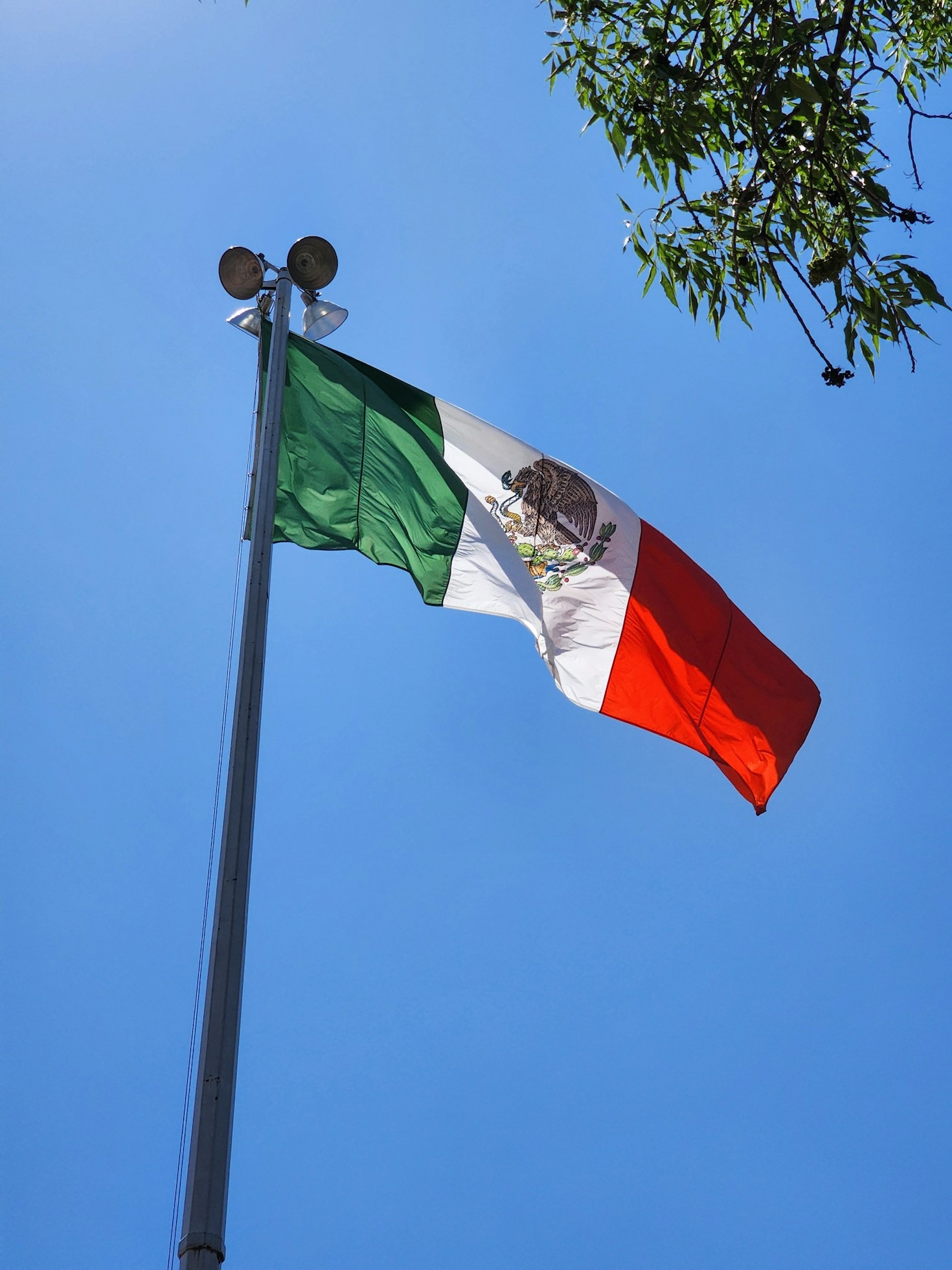 How the Chamber of Commerce Drives Mexican Economic Growth